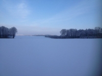 Przyroda