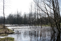 Łowy-3