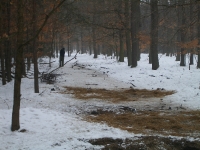 Dokarmianie i pasy zaporowe-3