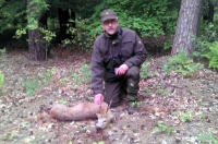 maj 2014