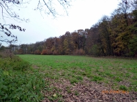 2013 - 27 październik - obw 134