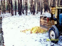 sezon 2005/2006 obw.133