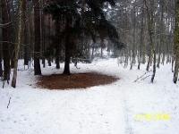 dokarmianie i pasy zaporowe-5