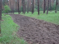 Dokarmianie i pasy zaporowe-1