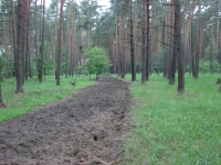 Dokarmianie i pasy zaporowe-2