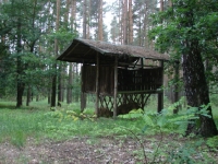 Dokarmianie i pasy zaporowe-4