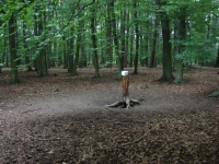 sezon 2010/2011