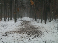 Dokarmianie i pasy zaporowe-1
