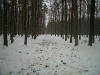 Dokarmianie i pasy zaporowe-2