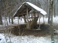 Dokarmianie i pasy zaporowe-6