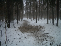 Dokarmianie i pasy zaporowe-7