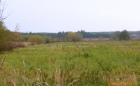 polowania zbiorowe-10