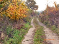 polowania zbiorowe-9