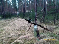 polowania zbiorowe-18