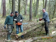 prace gospodarcze-2