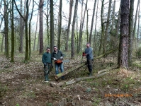 prace gospodarcze-3