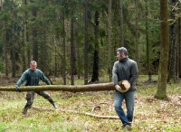 prace gospodarcze-3