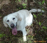 prace gospodarcze-4