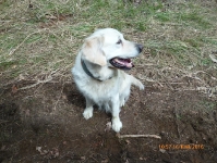 prace gospodarcze-6