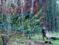 prace gospodarcze-6