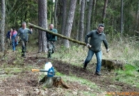prace gospodarcze-7