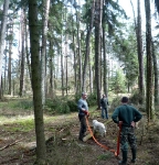 prace gospodarcze-8