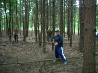 Prace gospodarcze-2