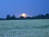 Prace gospodarcze-5