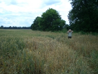 Prace gospodarcze-8