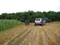 Zabezpieczanie upraw przed szkodami 16.08.2008