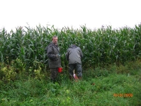 Zabezpieczanie upraw przed szkodami 16.08.2008