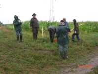 Zabezpieczanie upraw przed szkodami 16.08.2008