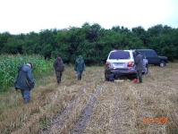 Zabezpieczanie upraw przed szkodami 16.08.2008