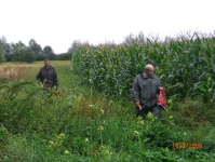 Zabezpieczanie upraw przed szkodami 16.08.2008
