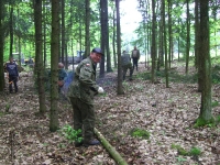 Prace gospodarcze-4
