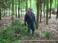 Prace gospodarcze-6