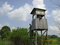 Prace gospodarcze - maj 2011