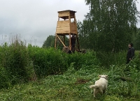 prace gospodarcze-3
