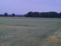 zwierzyna w łowisku-2